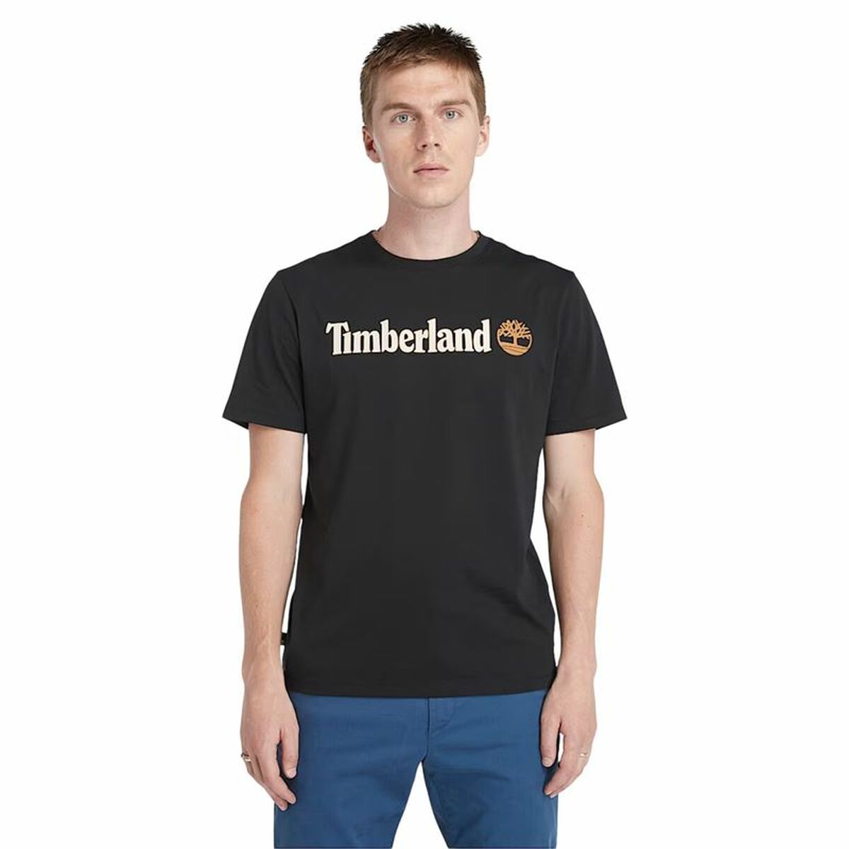 V3H99B0EB3E166E334450575627DAD17D99R6604752P1